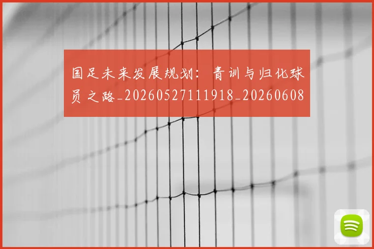 国足未来发展规划：青训与归化球员之路_20260527111918_20260608142952